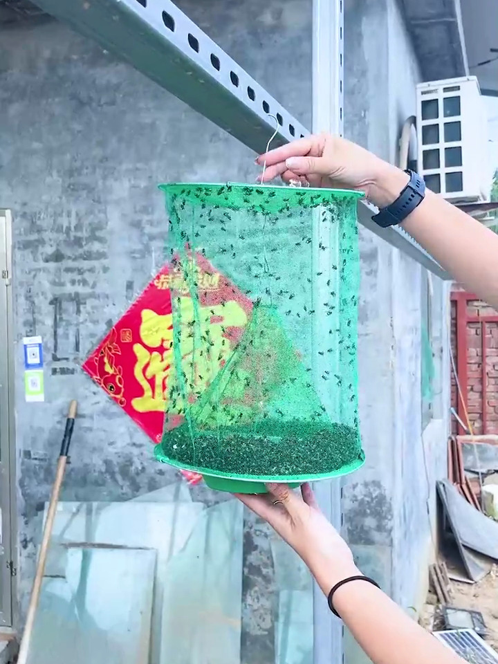 这个小东西捕苍蝇也太方便了夏天苍蝇再多也能一网打尽