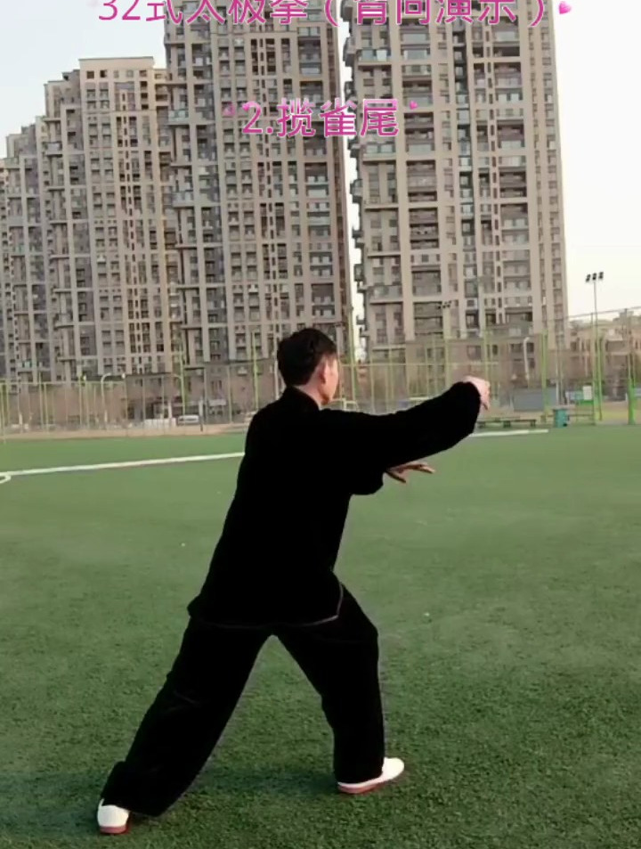 三十二式太极拳背向演示 每日一练