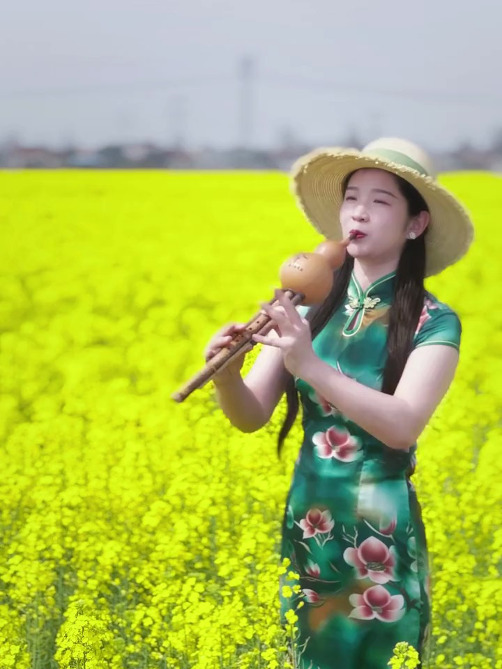 美女乡村油菜花地用g调葫芦丝演奏一曲经典老歌《阿里山的姑娘》