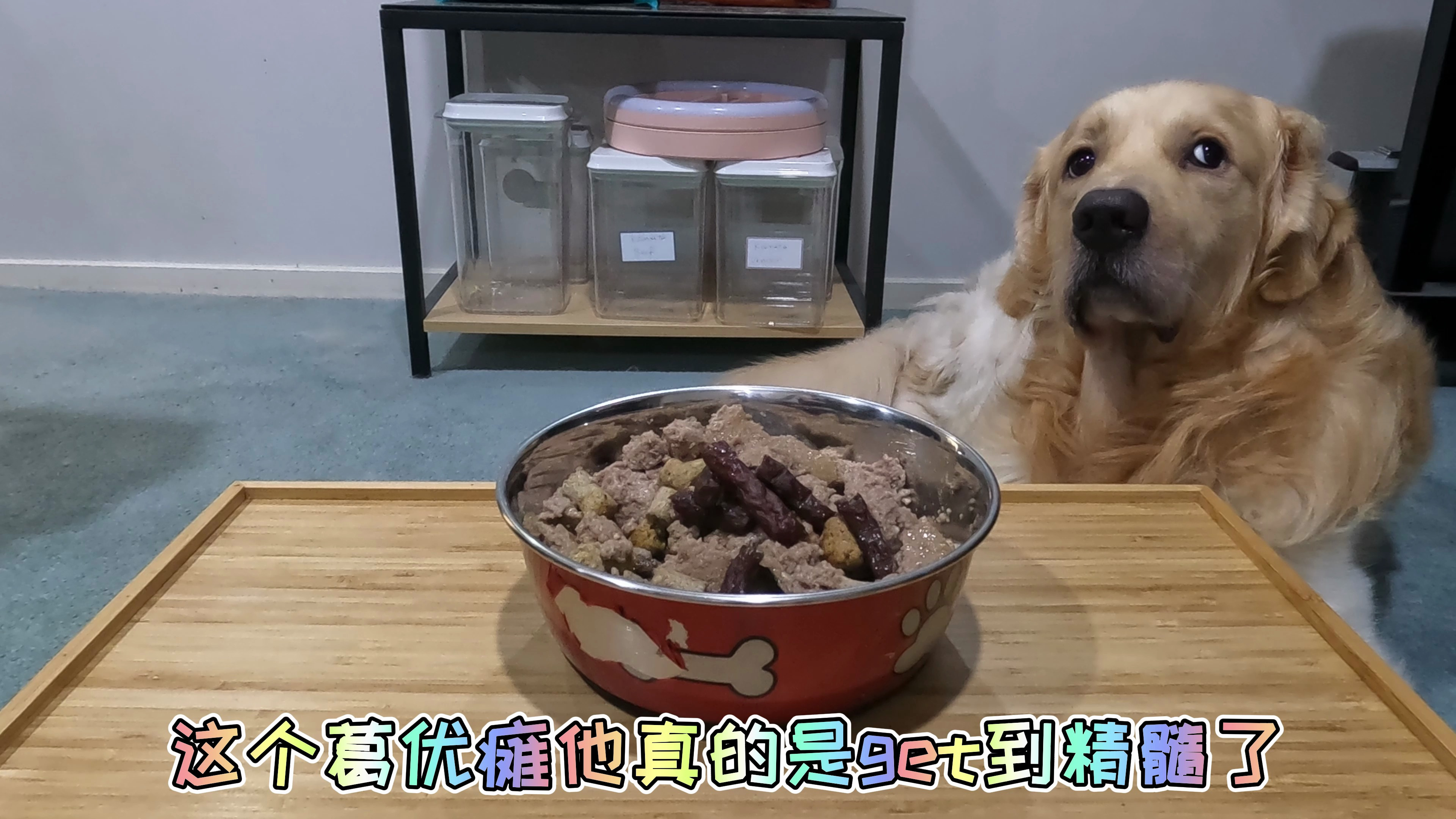 「土豆日记」这个葛优瘫他真的是get到精髓了