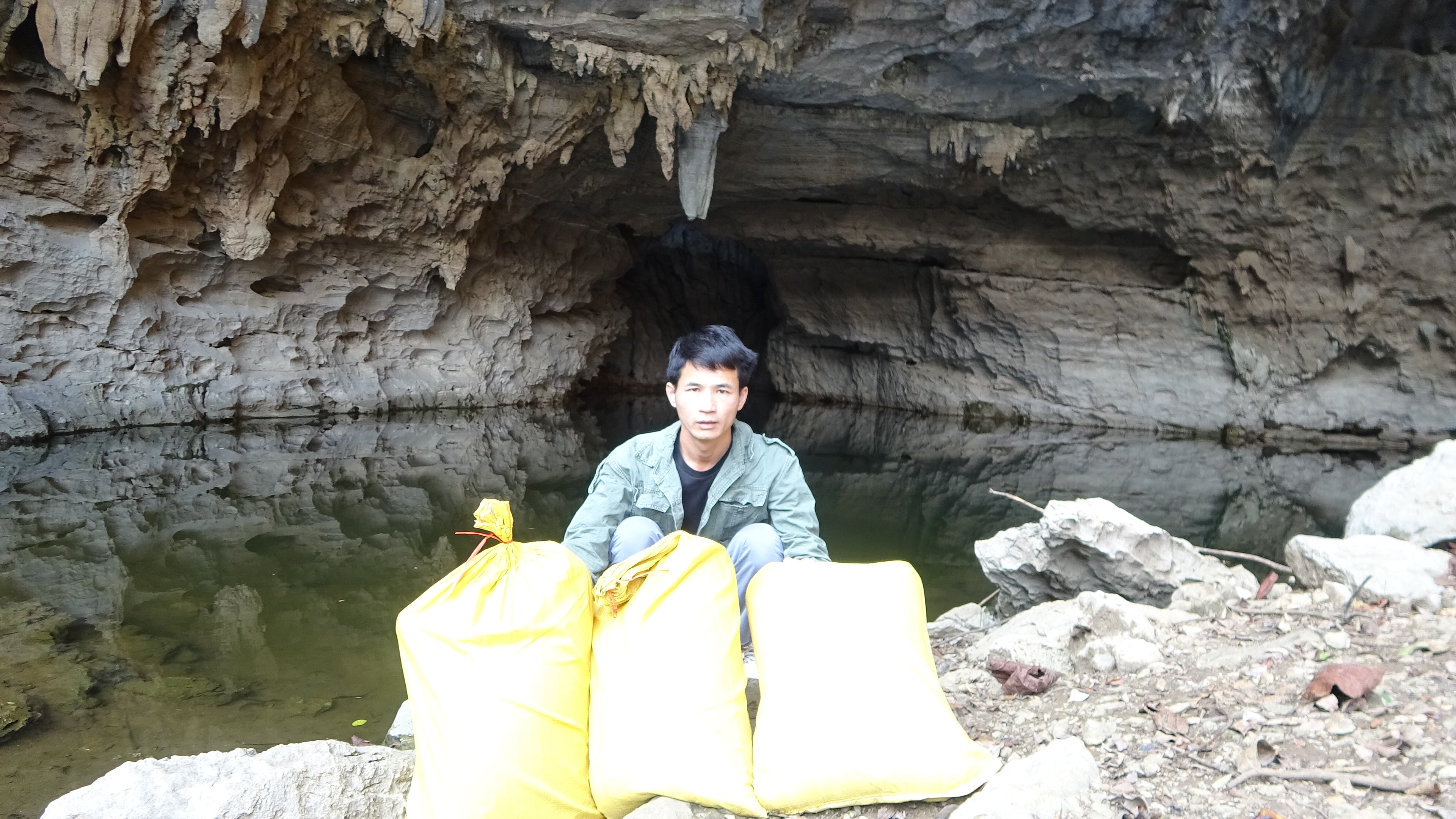 小莫花550块买青鱼，投放到大山洞里面养，能成功吗