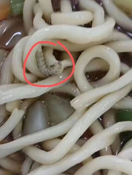 西安一学校食堂饭菜里不断出现头发,虫子等异物 并强制学生包餐-度小