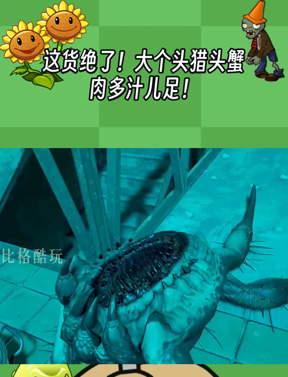 这货绝了!大个头猎头蟹,肉多汁儿足!