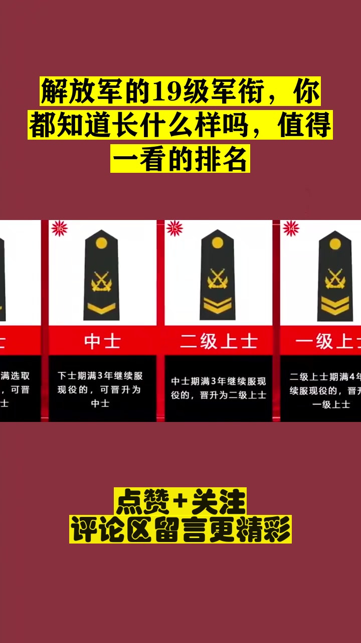 解放军的19级军衔,你都知道长什么样吗,值得一看的排名-度小视