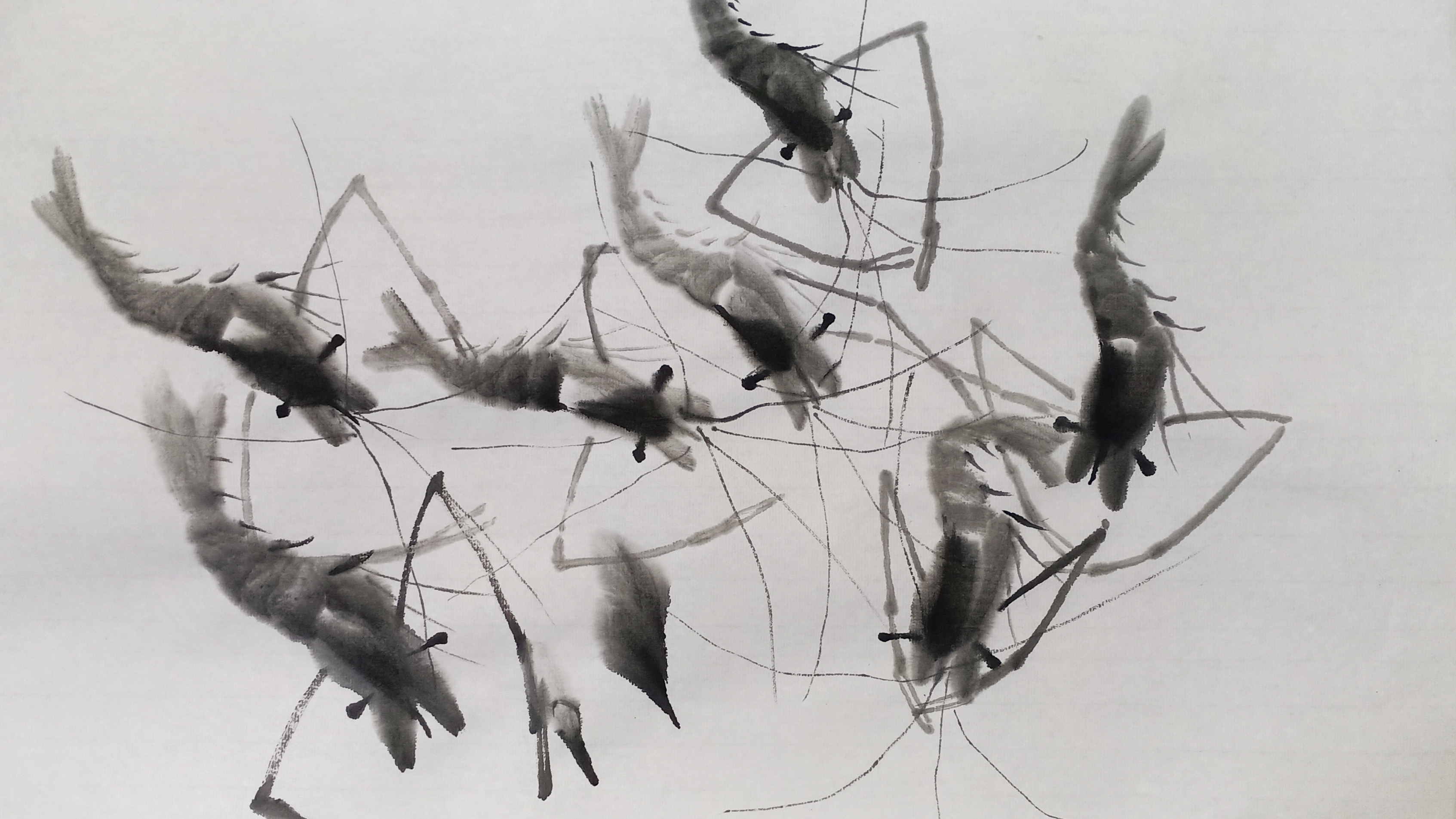 这两天练习画虾的感受