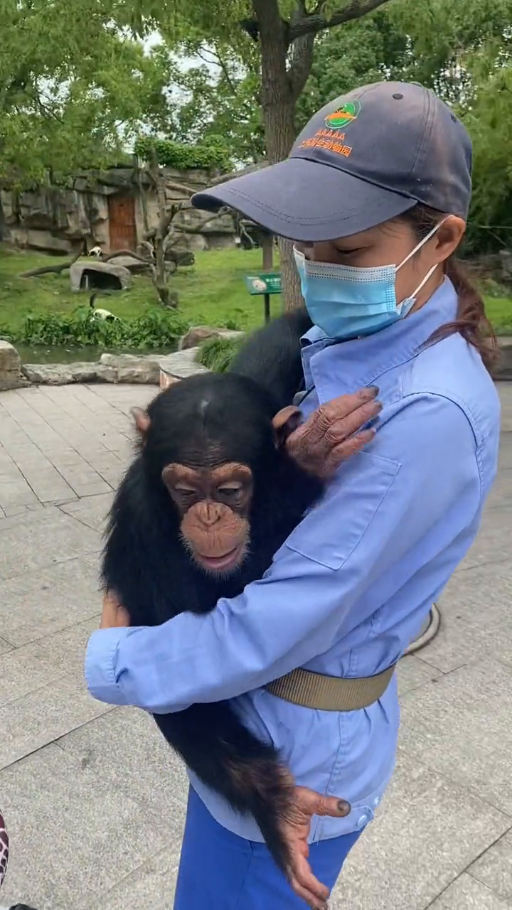 当当最爱美女抱抱了