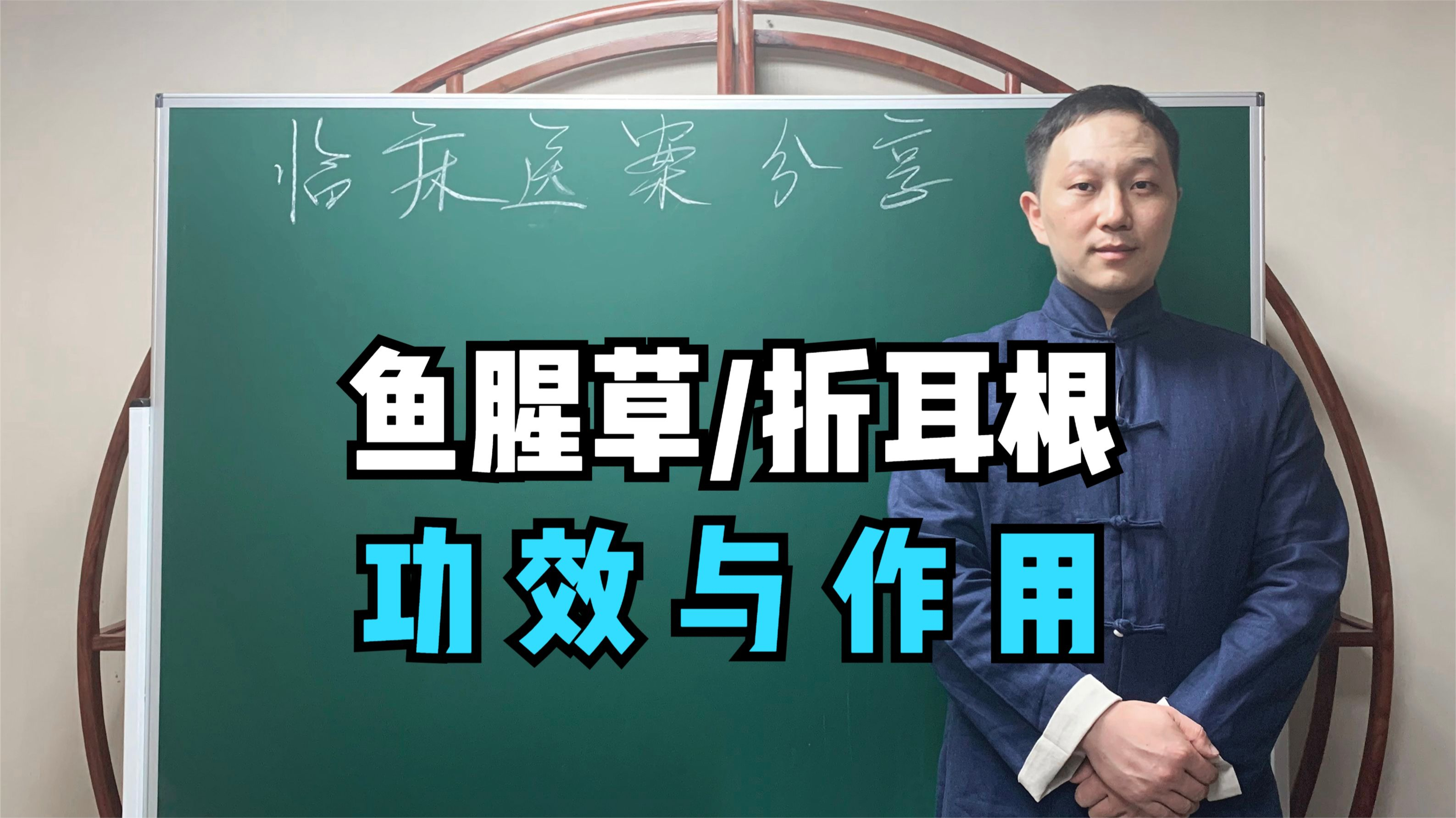 鱼腥草也是餐桌上的美食折耳根，功效与作用有哪些？一次性讲清