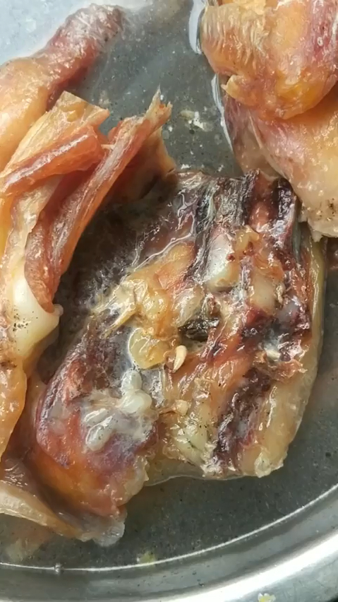 同事家的腊肉,已经生虫了,这玩意还能吃吗?