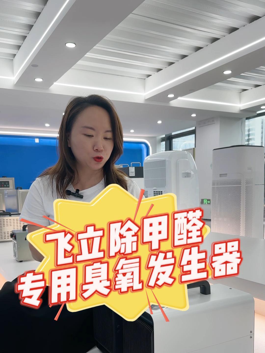 飞立除甲醛专用臭氧发生器