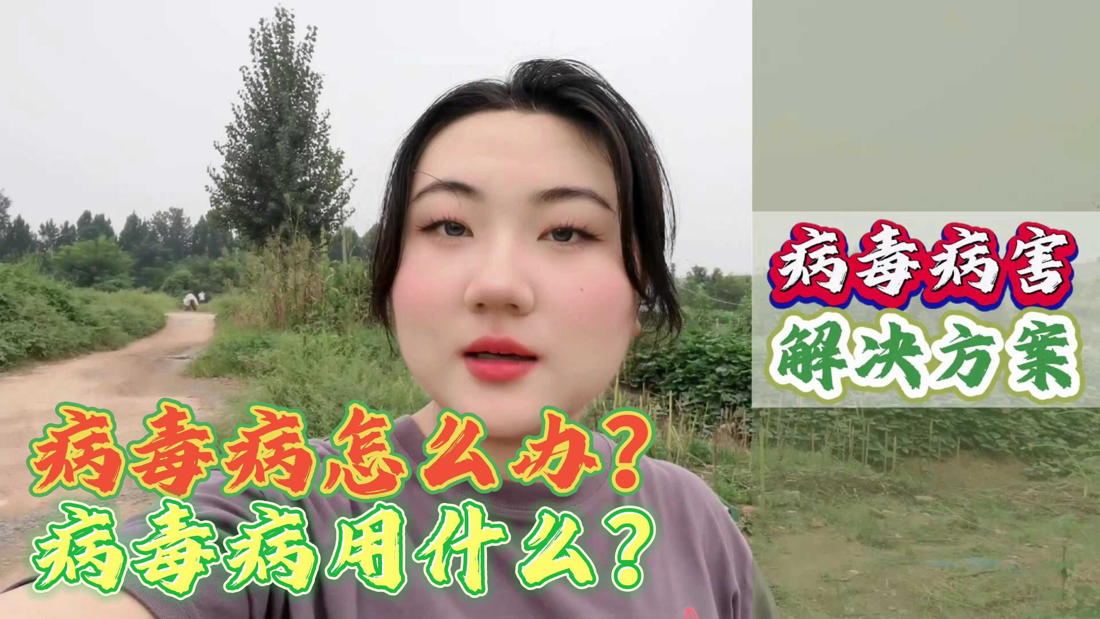 作物病毒病是什么原因引起的?病毒病的治疗最好的药?病毒病特点