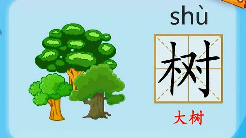 亲宝识字:学习汉字树的拼音组词笔画笔顺写法,母婴育儿,早期教育,好看视频