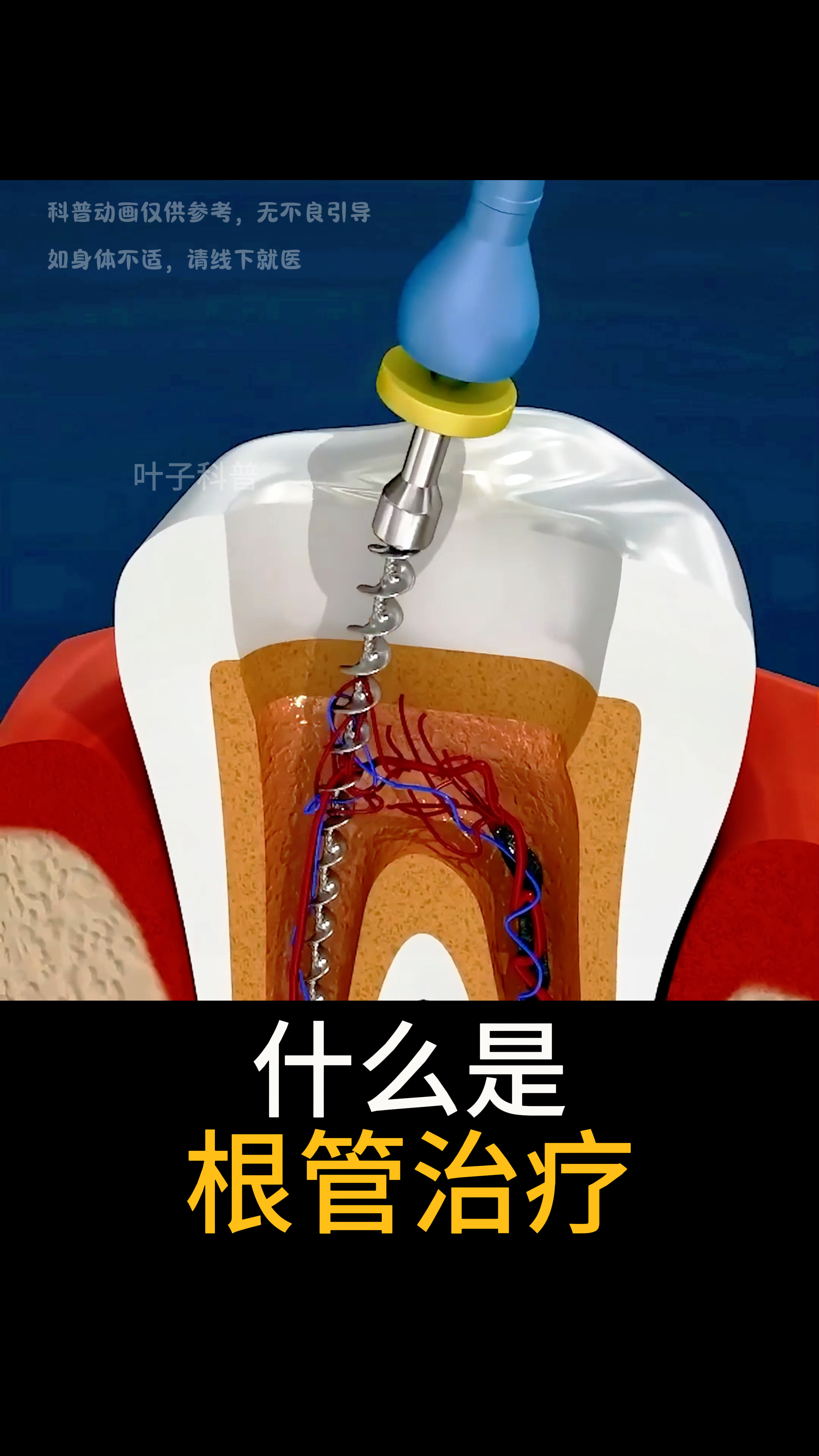根疗保养视频教程(根疗保养视频教程下载)