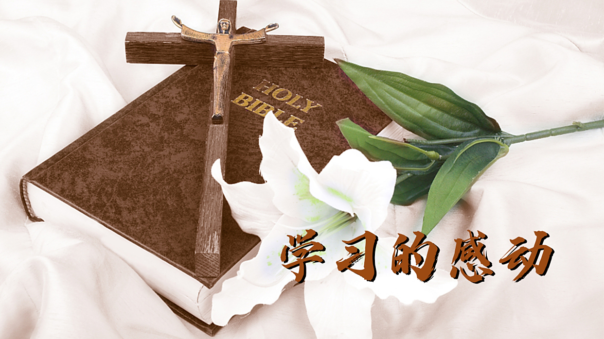天父不能为我们挑走重担，是因为我们没有将重担卸给祂。今生的思