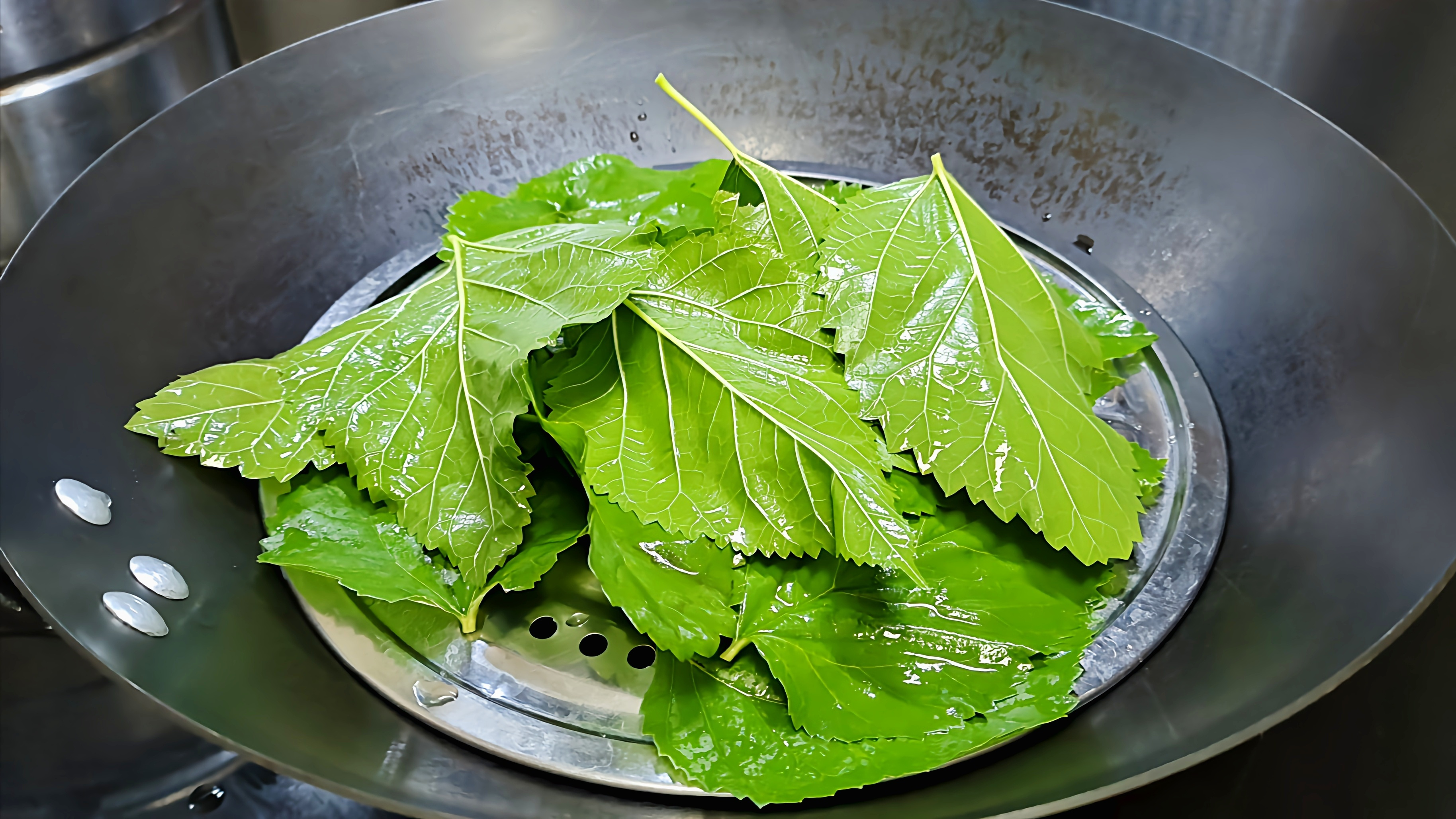 [图]桑叶放锅蒸一蒸,是98岁奶奶长寿的秘诀,每天1杯,精神好吃饭香