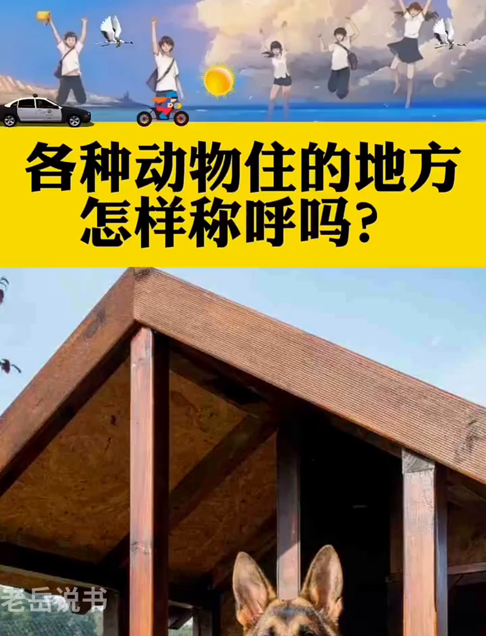 家是代表什么动物