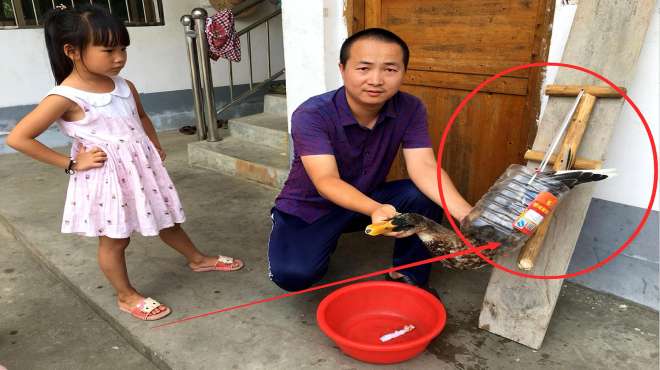 [图]小伙发明了“杀”鸡鸭鹅的新神器，这方法太牛了，很多人头次见