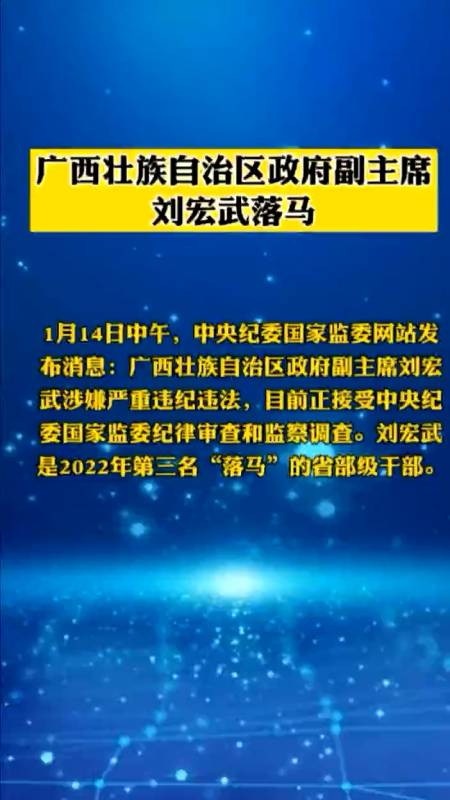 广西壮族自治区政府副主席刘宏武落马