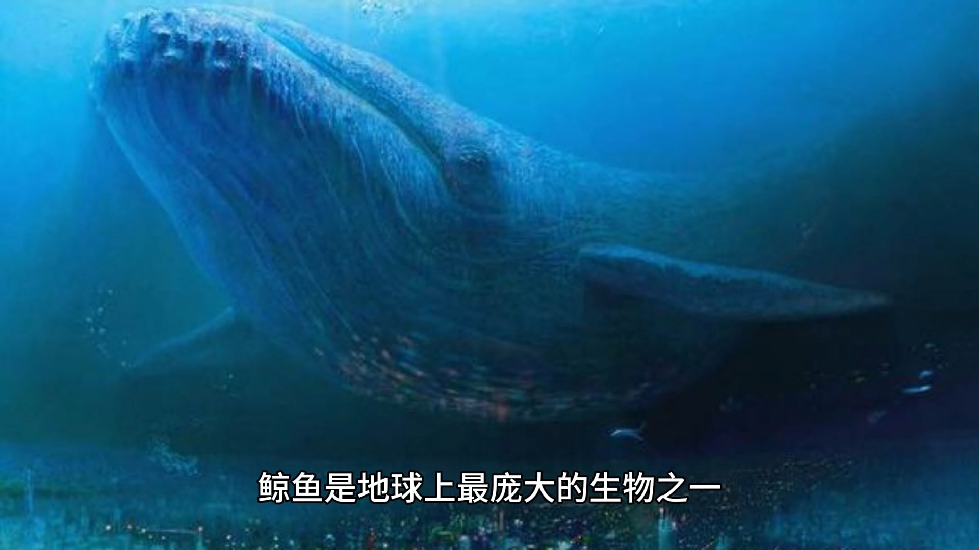 鲸鱼体重大约多少吨?
