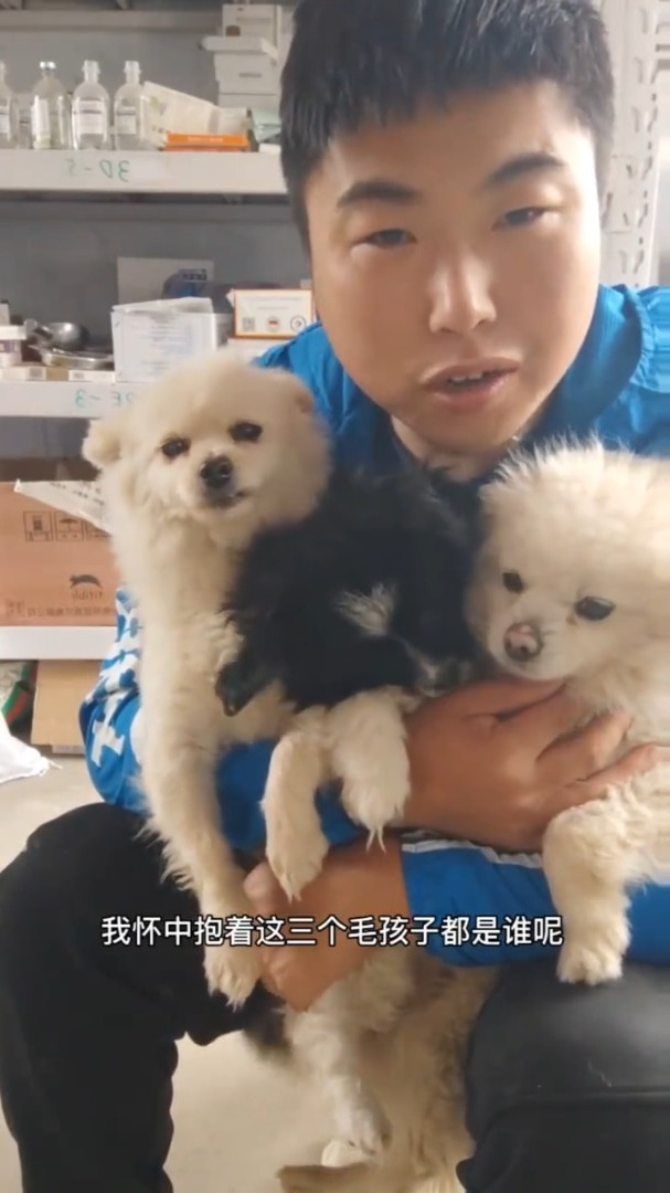 带着被抛弃过的三个毛孩子去洗澡,有些人会投来异样的眼光