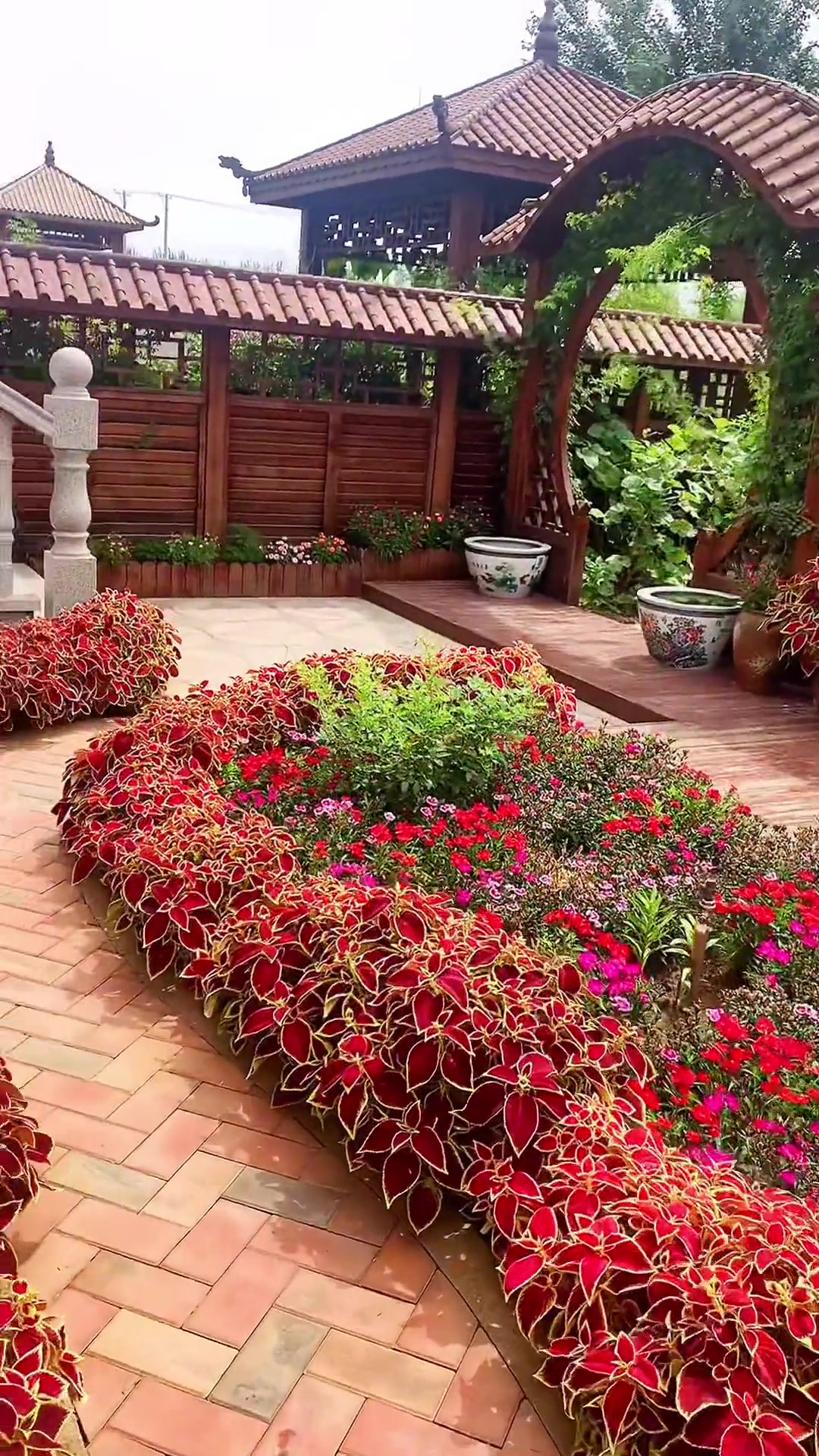 喜欢你就点个关注吧田园生活小院