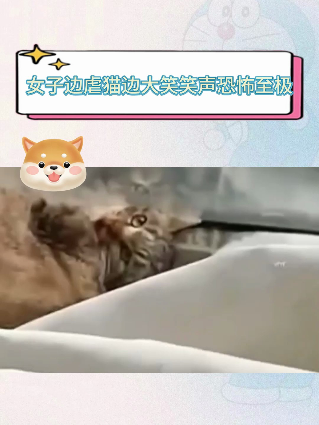 女子边虐猫边大笑,笑声恐怖至极,事后仅仅批评教育?
