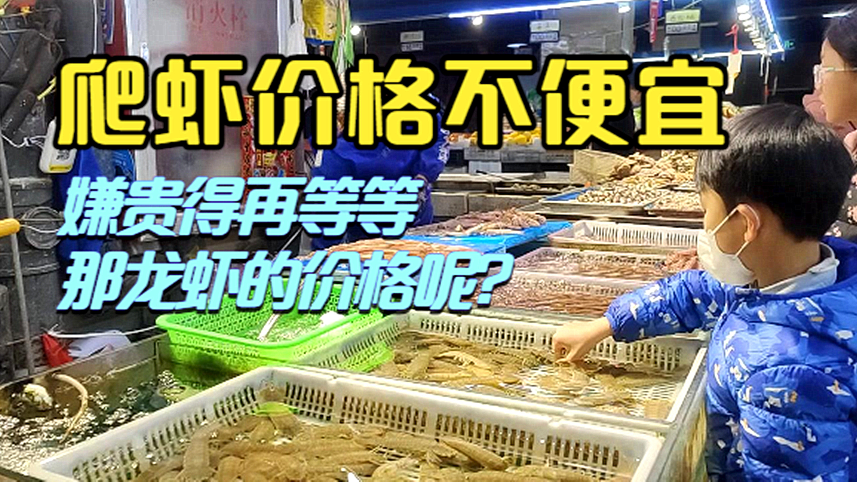 青岛早市,爬虾的价格有点让人吃惊,那大龙虾的价格呢?
