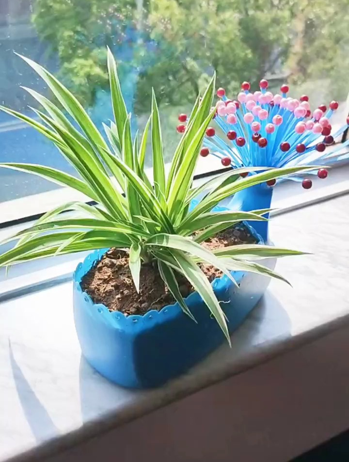 洗衣液瓶制作创意小花盆,适合新手制作,喜欢的朋友动手试试吧!-度小视