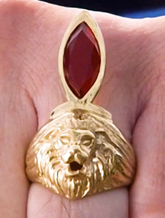 狮子的瞳孔闪耀着万丈光芒 雷欧奥特曼