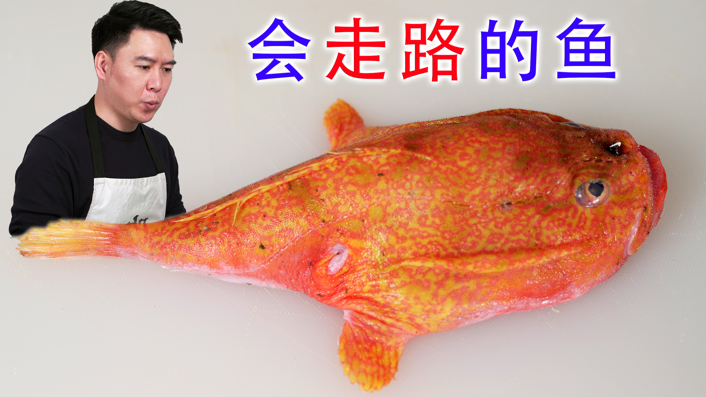 试吃会走路的躄鱼,切开肚子的那一刻,我惊呆了