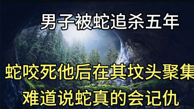 [图]男子被蛇追杀五年，蛇咬死他后在其坟头聚集，难道蛇真的会记仇？