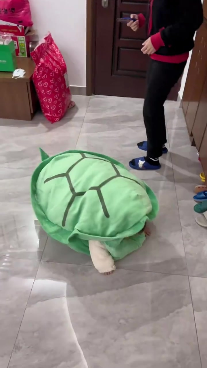 从前有一只小乌龟,她走着走着摔倒了,变成了一只缩头乌龟