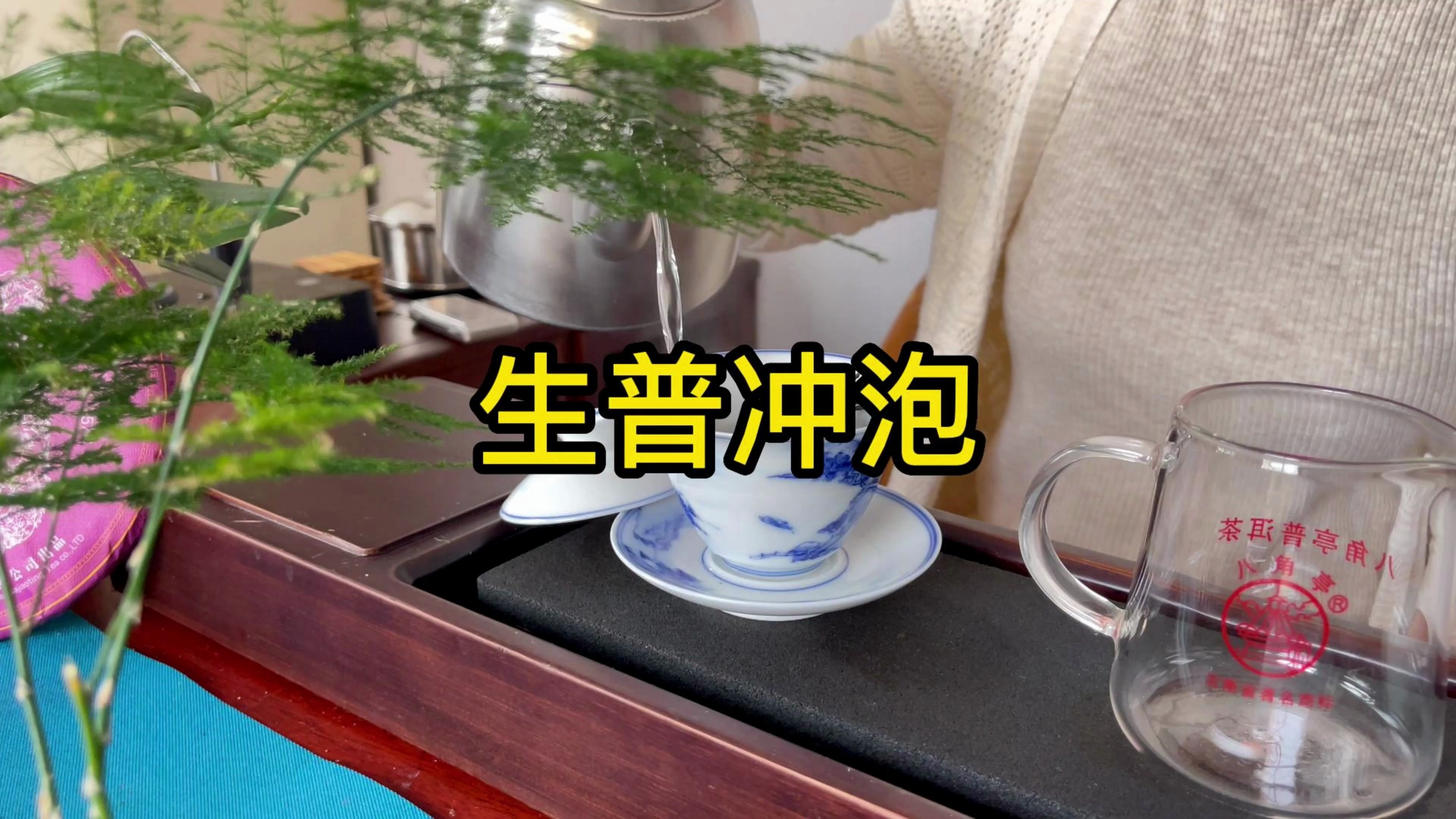 生普茶怎么泡好喝,四个小技巧要掌握