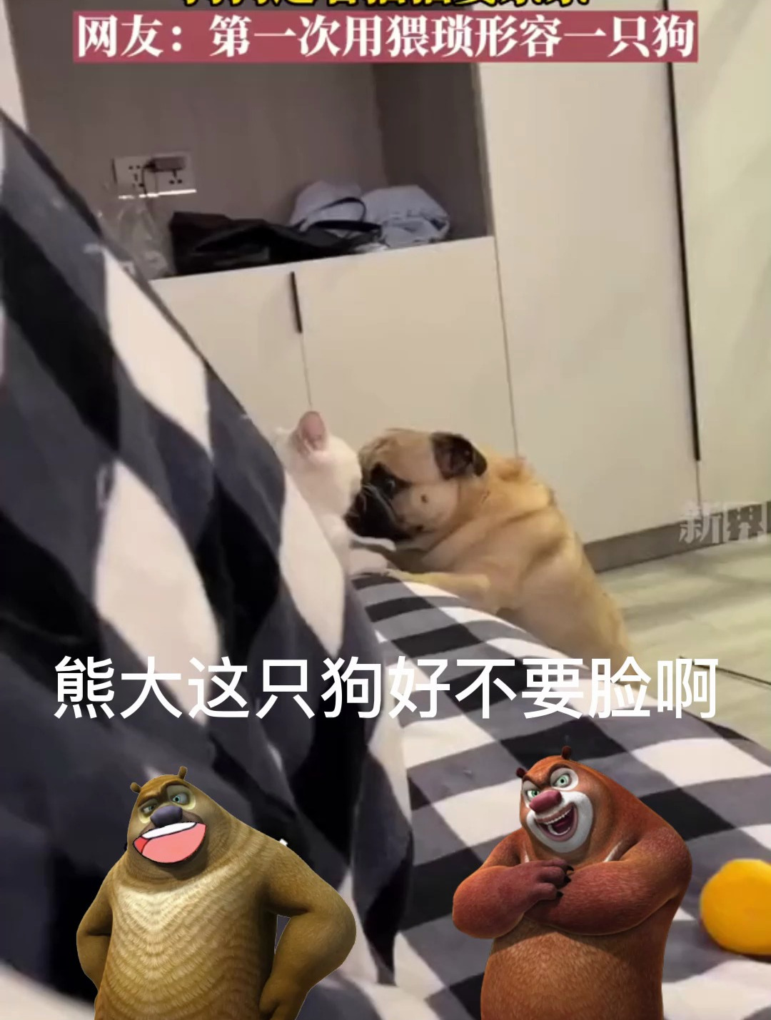 熊大和熊二抢翠花