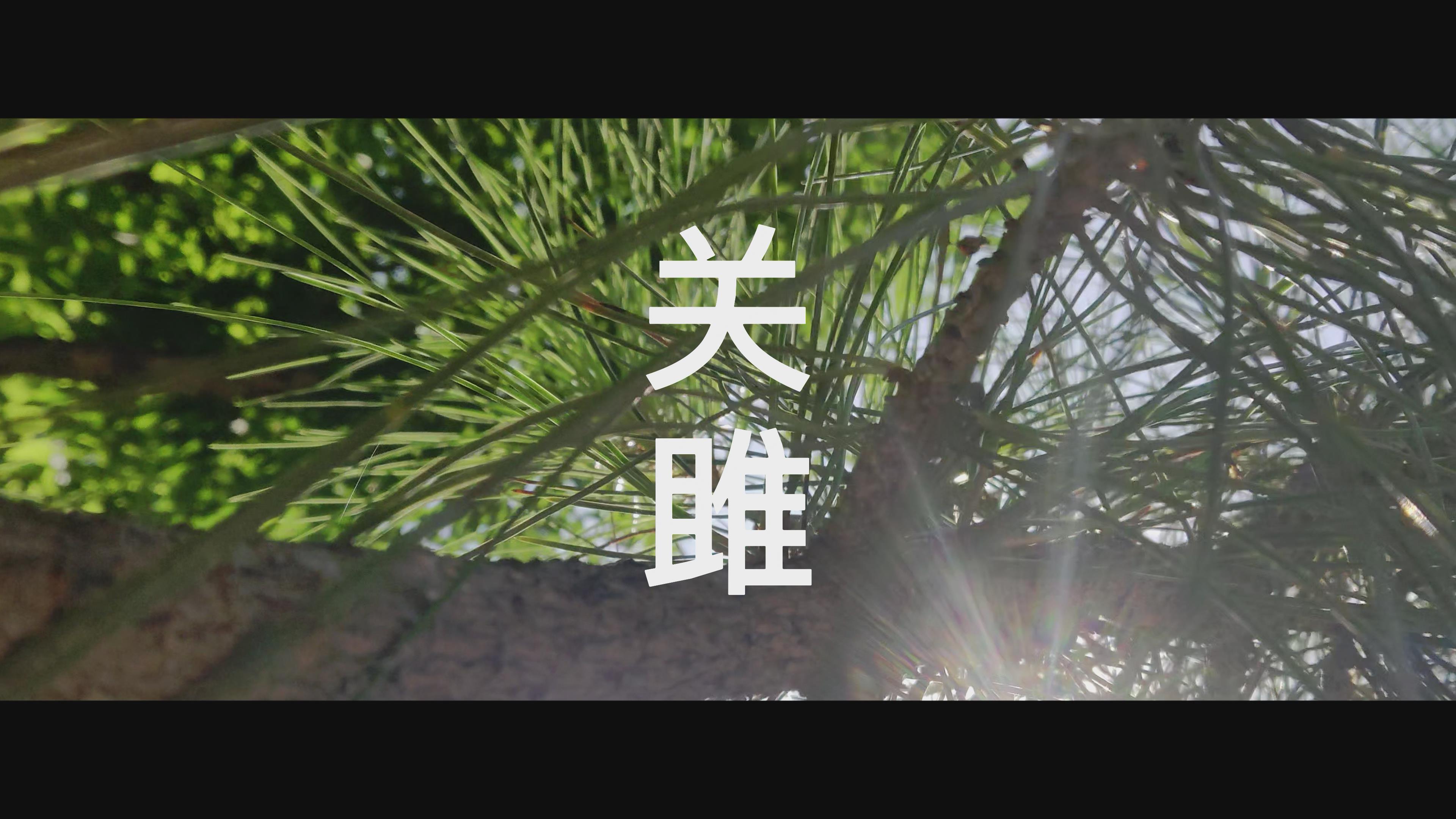 关关雎鸠,在河之洲,鹤父(张元显)艺术云展——《诗经》关雎