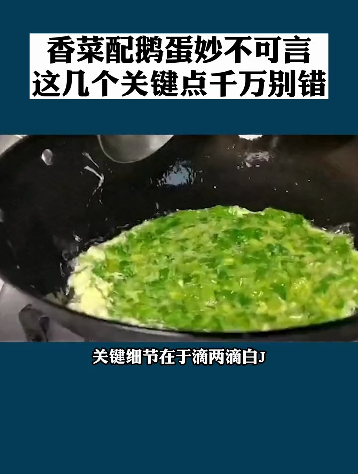 陈允斌鹅蛋炒香菜图片