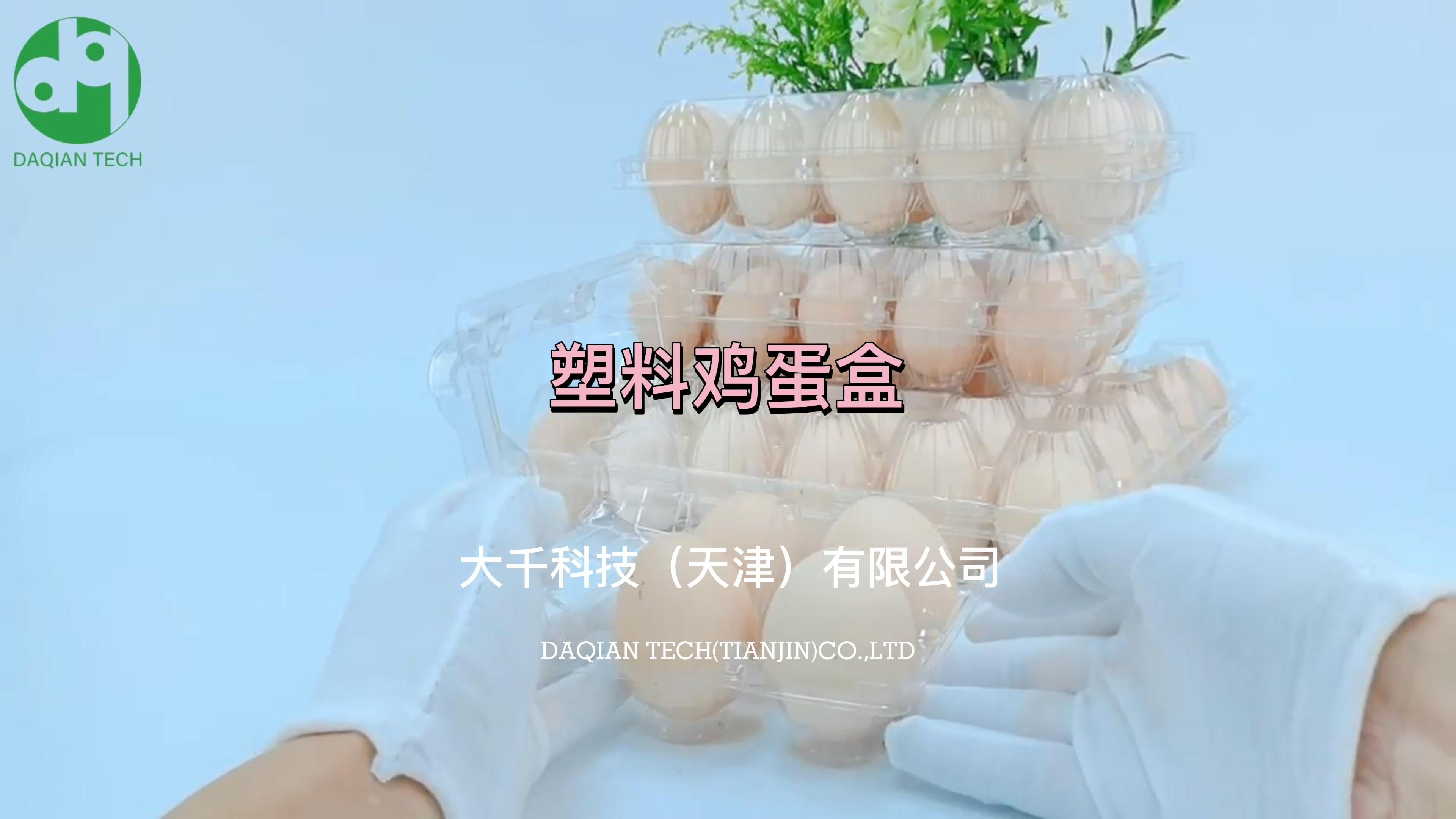 一次性透明塑料鸡蛋盒