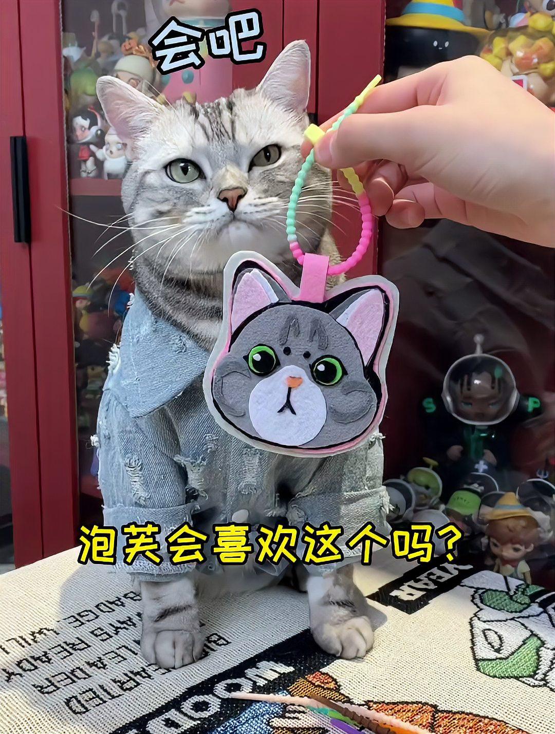 安生送给泡芙的5岁生日礼物,小猫咪的情意你羡慕了吗～