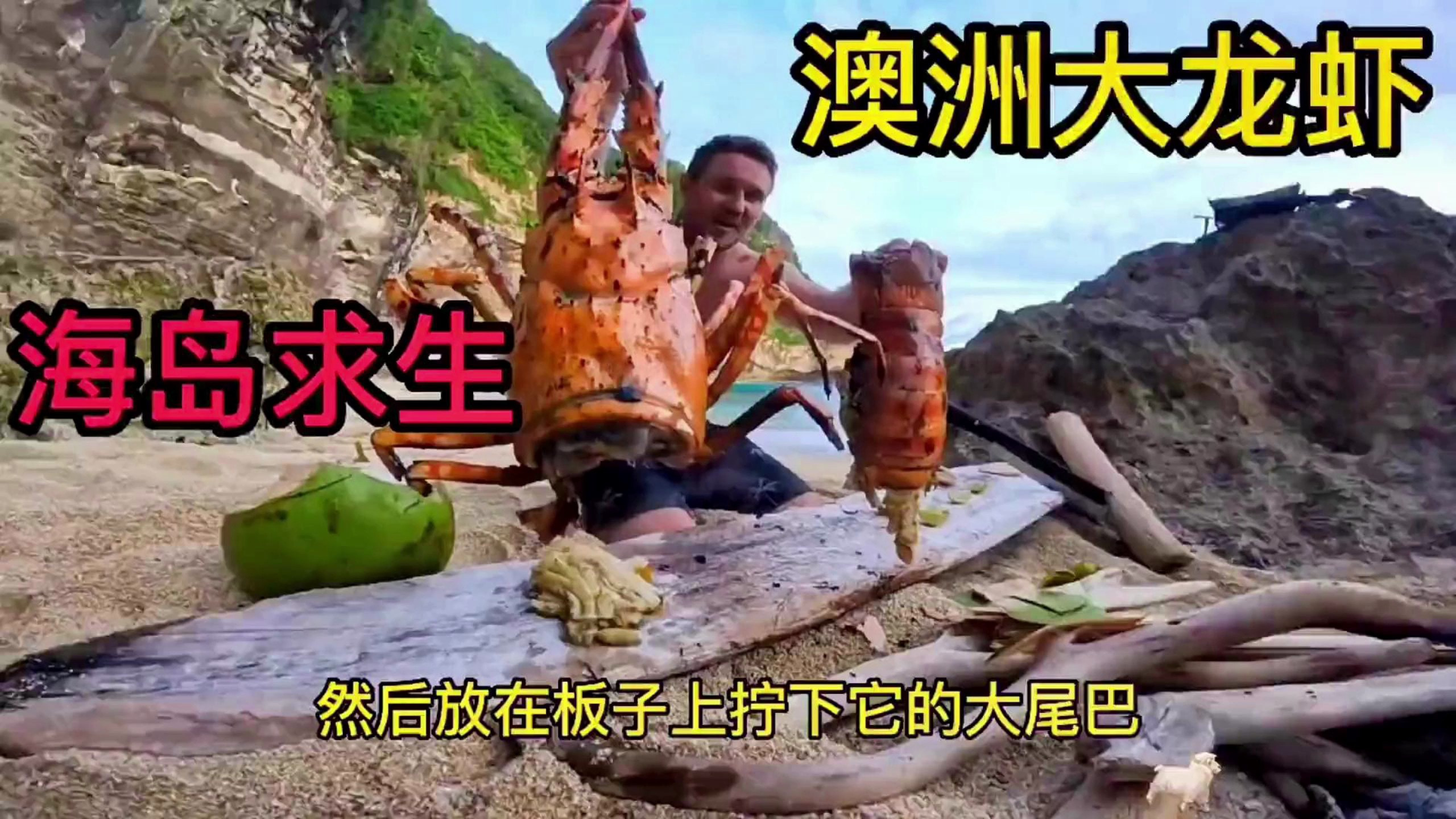 海岛求生,澳洲大龙虾