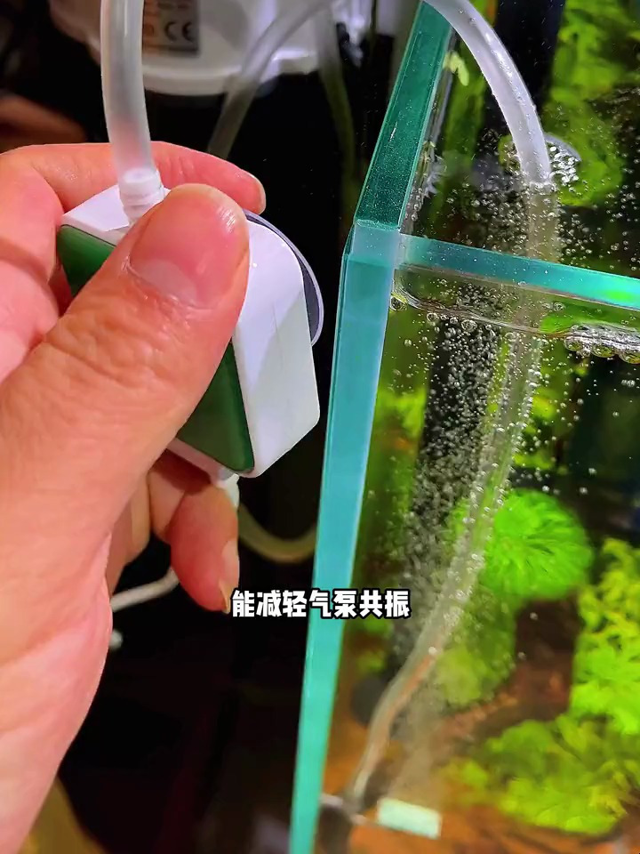 这款迷你氧气泵,不光高颜值,还静音,并且出气量还不错!