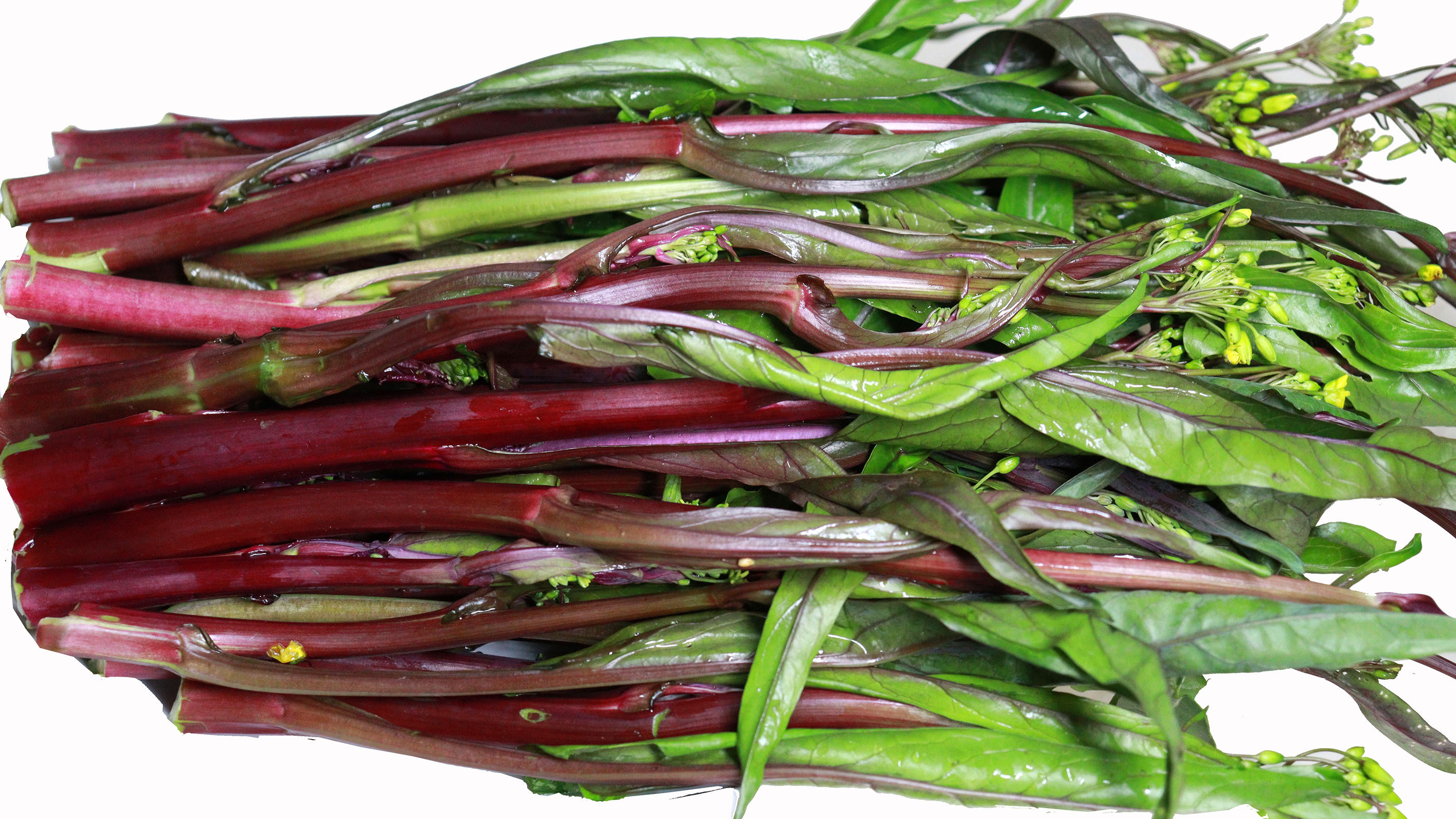 红油菜苔,别只会炒着吃,四川人教你新吃法,年夜饭必备凉拌菜