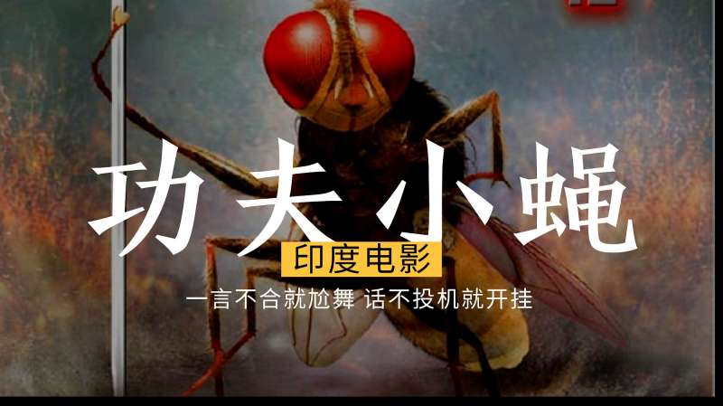 功夫小蝇男主被害死后转生成苍蝇最后竟然抱得美人归中