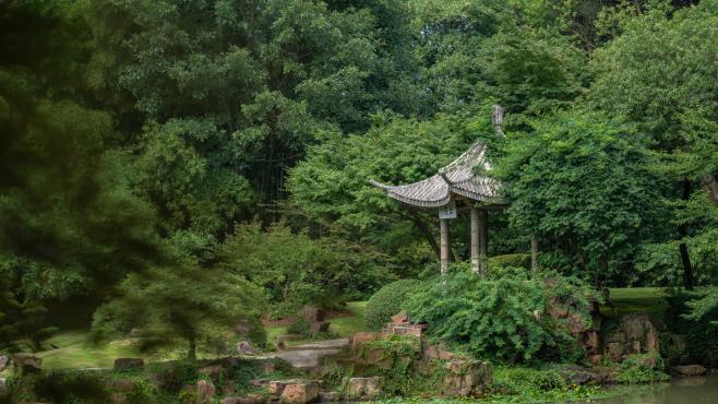 [图]江南的雨季，适合去太湖鼋头渚江南兰苑听雨