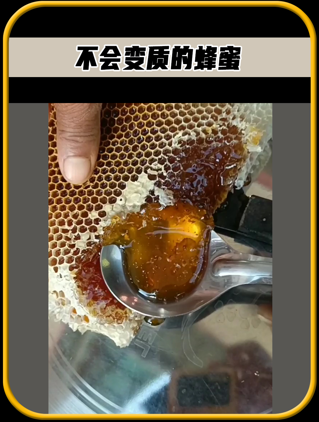蜂蜜会变质吗怎么判断好坏(蜂蜜会不会变质过期)