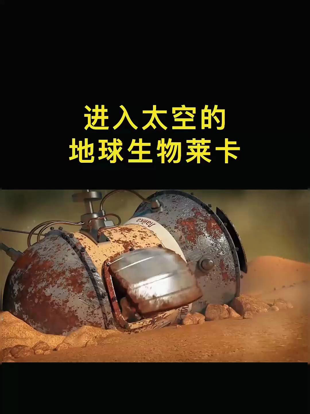 用生命为人类载人航天奠定基础的太空狗莱卡已经在太空中漂泊了6