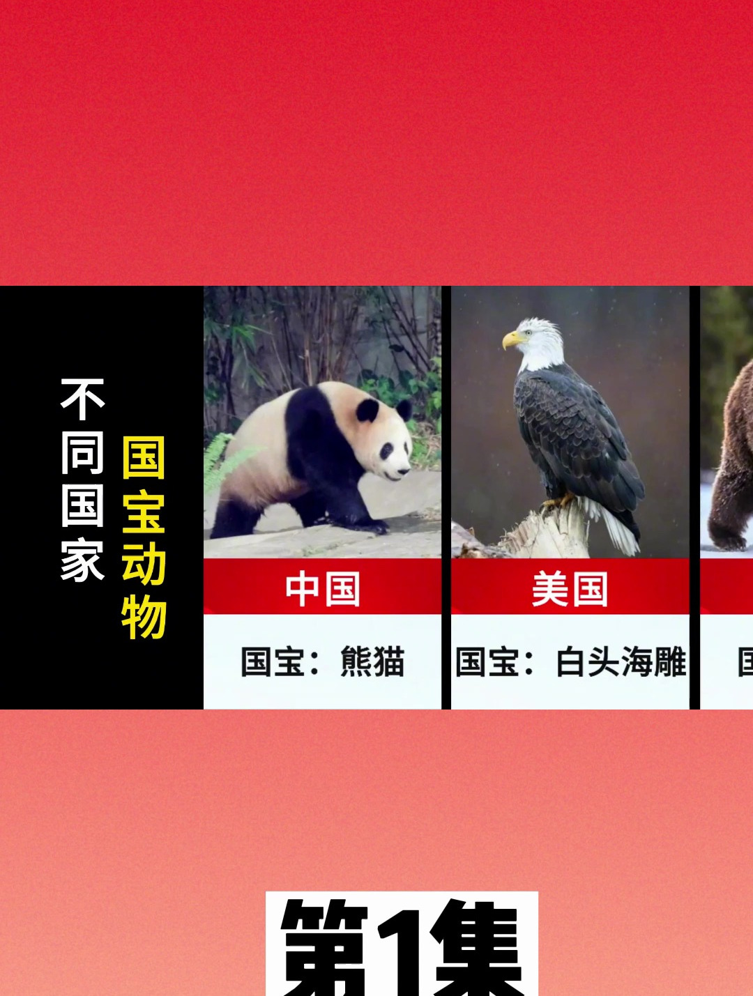 不同国家的国宝动物