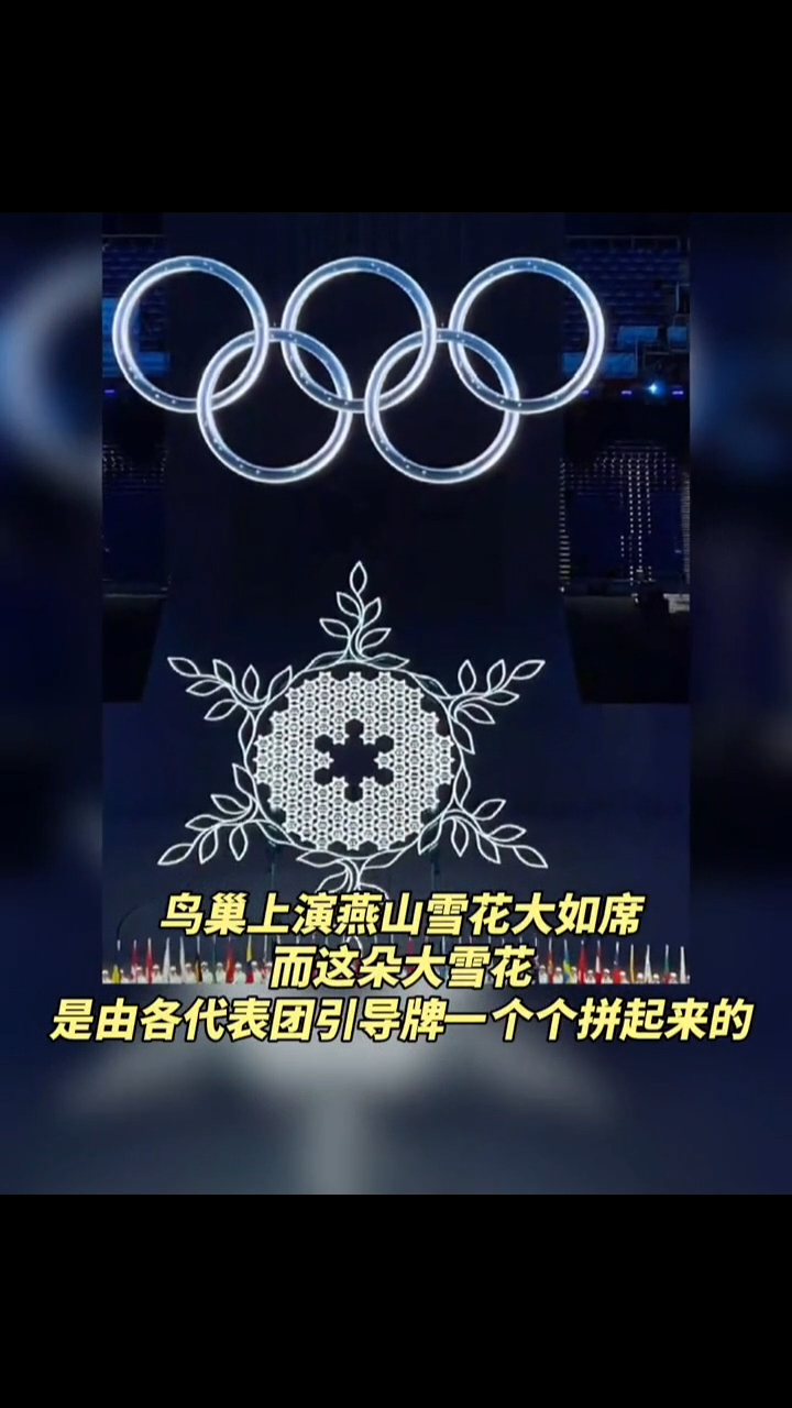 冬奥会雪花国家牌图片