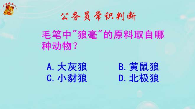 [图]公务员常识判断，毛笔中狼毫是用什么东西做的？不是狼毛哦