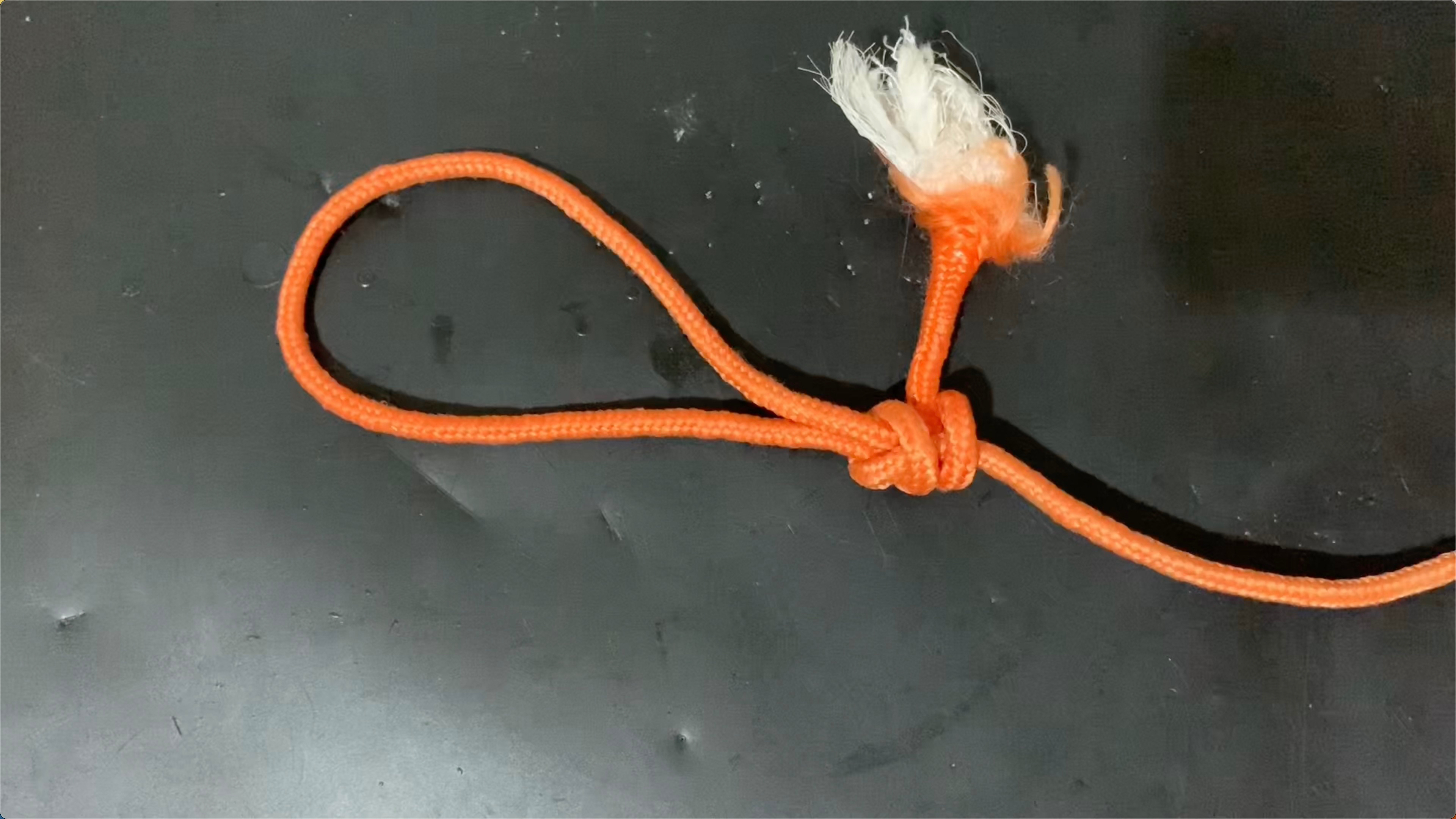 养狗大妈亲传,一种套狗的,狗儿栓绳结打法,简单实用