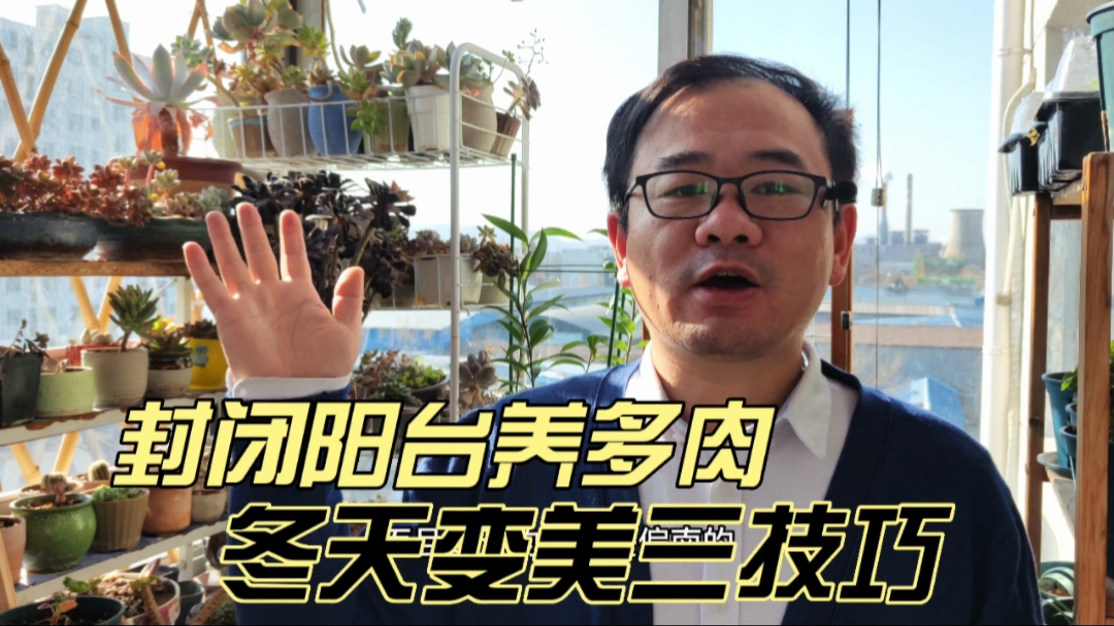 封闭阳台养多肉，冬天是最美时刻，三个小技巧，助力肉肉更美