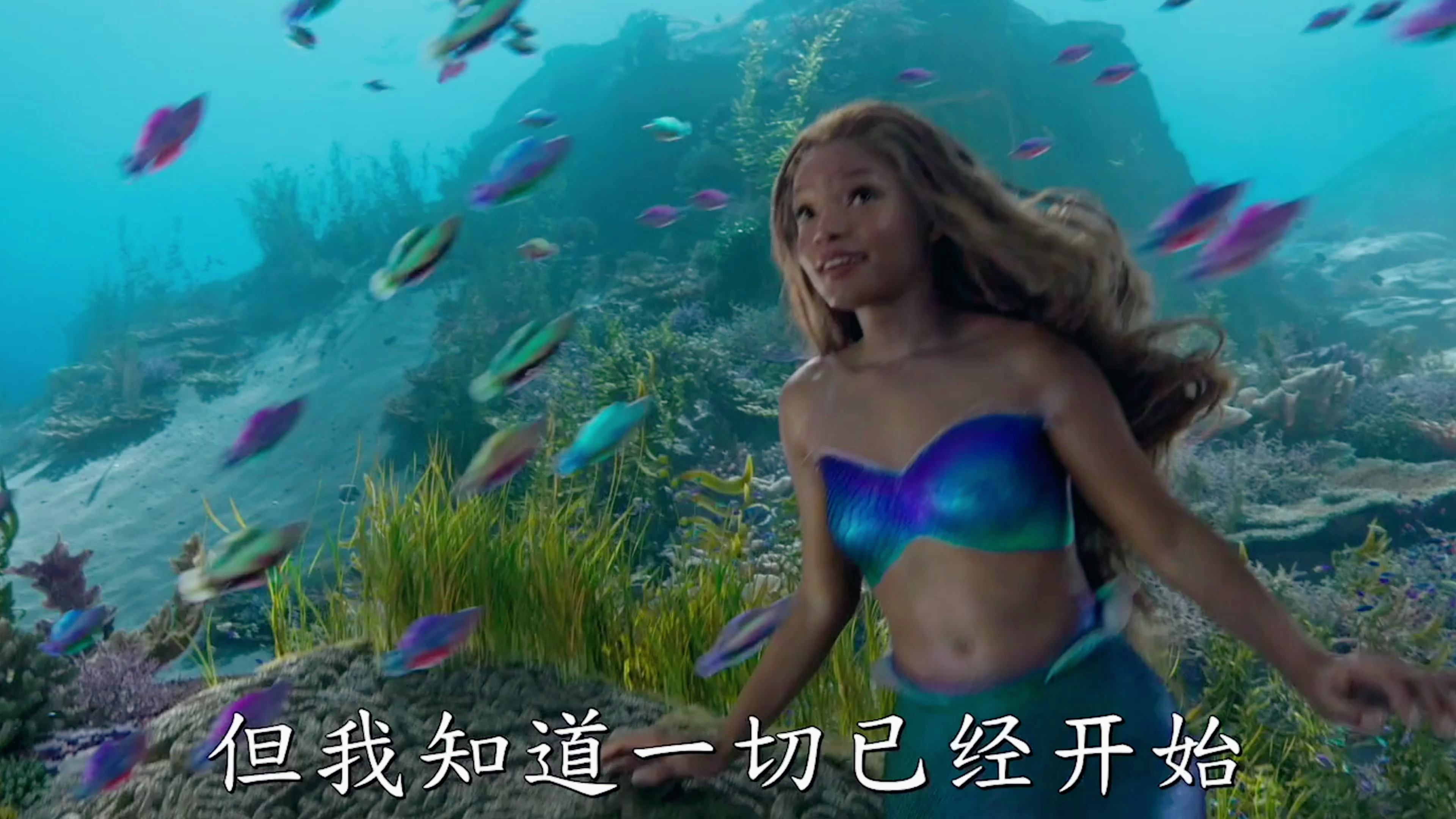 2023即将上映的高分电影「美人鱼」